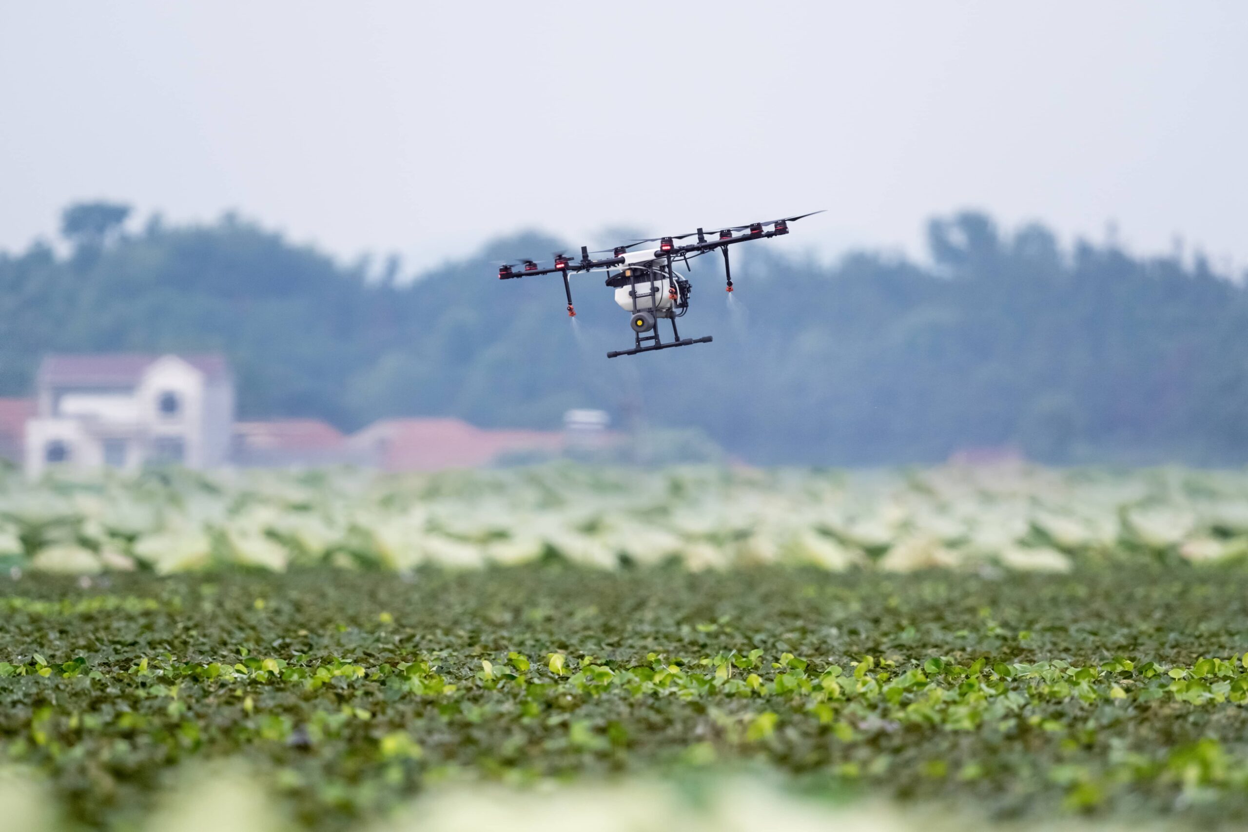agriculture-drone-sprayed-fertilizer-